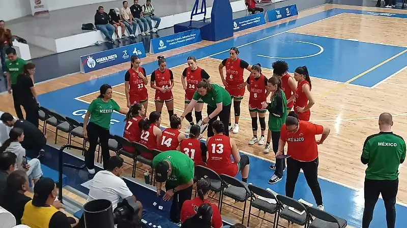 Visita